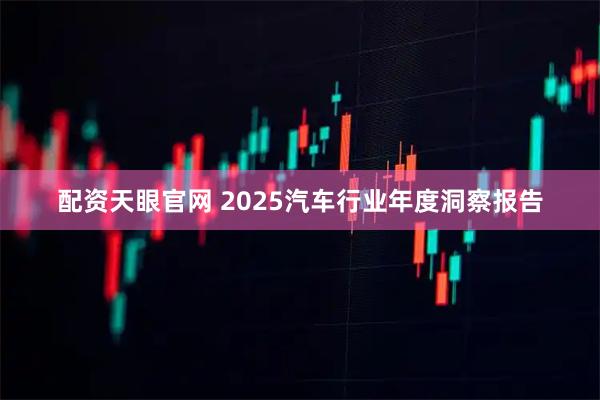 配资天眼官网 2025汽车行业年度洞察报告