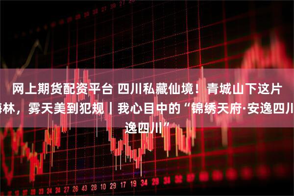网上期货配资平台 四川私藏仙境！青城山下这片梅林，雾天美到犯规｜我心目中的“锦绣天府·安逸四川”