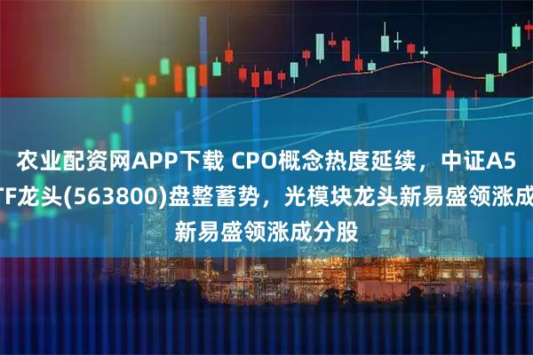 农业配资网APP下载 CPO概念热度延续，中证A500ETF龙头(563800)盘整蓄势，光模块龙头新易盛领涨成分股