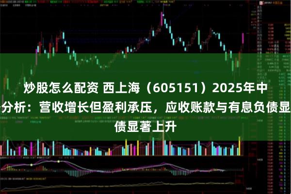 炒股怎么配资 西上海（605151）2025年中报财务分析：营收增长但盈利承压，应收账款与有息负债显著上升